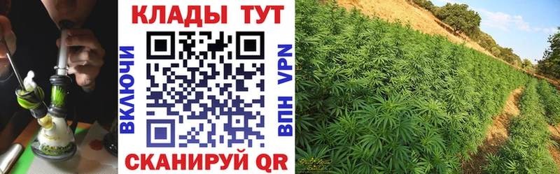 Как найти наркотики Когалым Alpha PVP МЕГА ONION COCAIN Амфетамин ГАШИШ Меф Марихуана Псилоцибиновые грибы