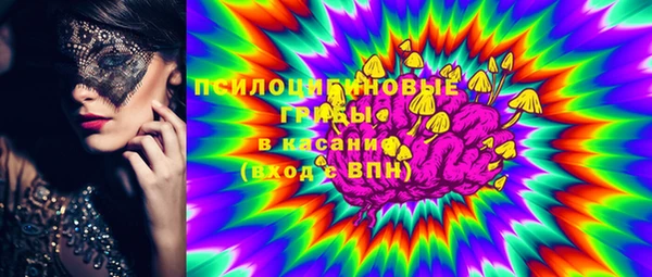 МДПВ Алексин