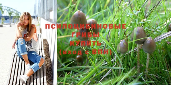 МДПВ Алексин