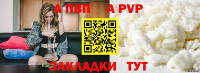 стаф Кинель
