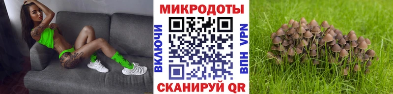 мега маркетплейс  Когалым  Псилоцибиновые грибы мухоморы 