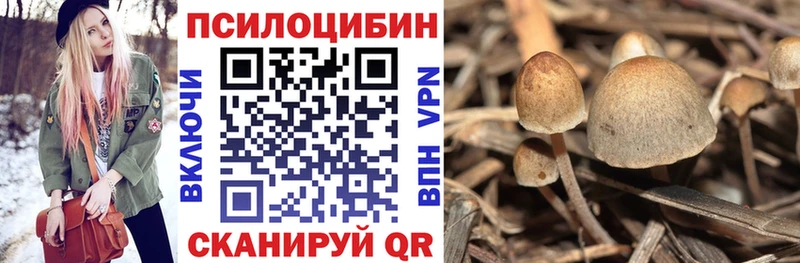 Псилоцибиновые грибы Cubensis Когалым