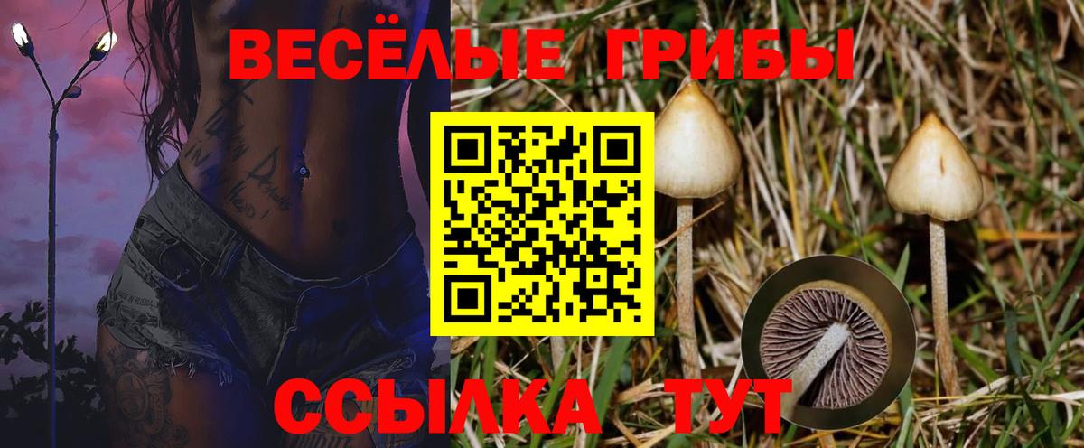 Псилоцибиновые грибы мицелий  Вход с VPN  Когалым 