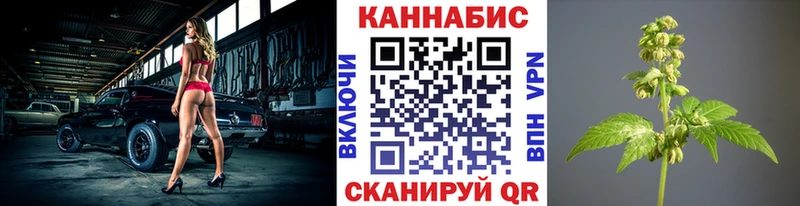Канабис тримм  OMG как войти  Когалым 